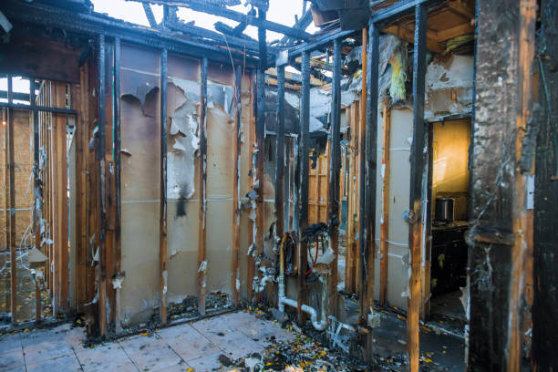 Professional Fire Damage Removal technician working in Rossmoyne, OH